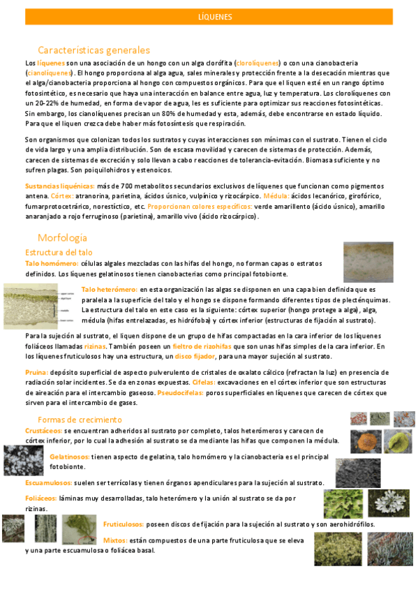 Miniatura del documento liquenes.pdf