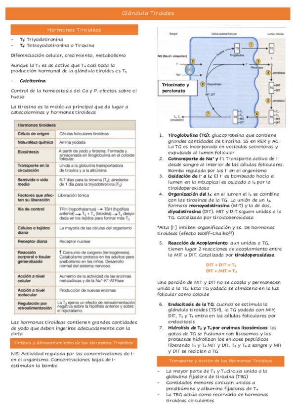 Miniatura del documento Tema-33.pdf