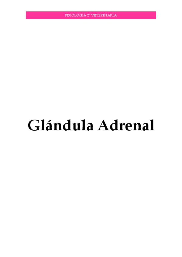 Miniatura del documento Endocrino-V.pdf