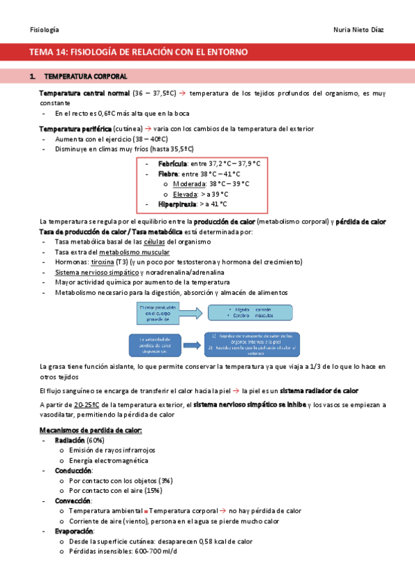Miniatura del documento TEMA-14-Fisiologia-de-relacion-con-el-entorno.pdf