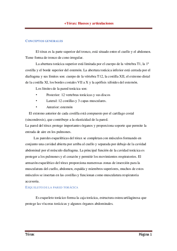 Miniatura del documento 2-Esqueleto-del-torax.pdf