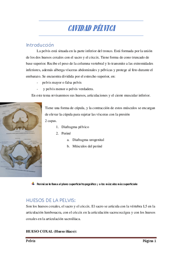 Miniatura del documento 3-Cavidad-pelvica.pdf