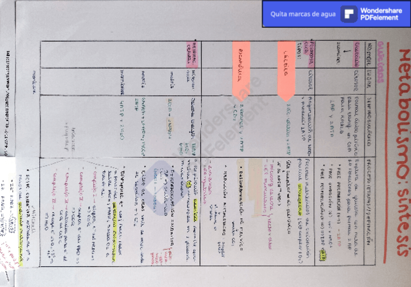 Miniatura del documento Metabolismo-sintesis-1.pdf