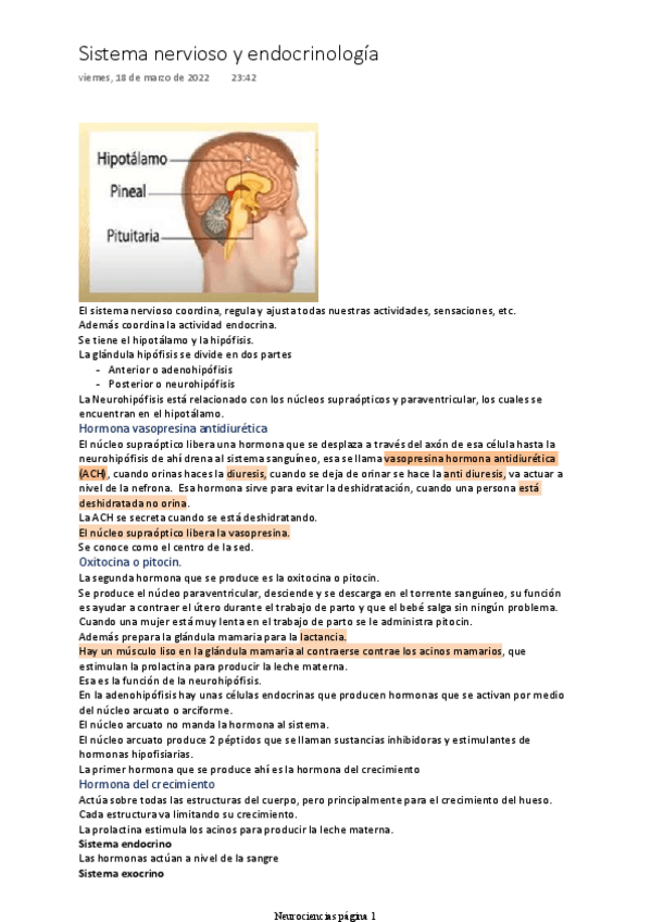 Miniatura del documento Generalidades-sistema-nervioso-y-endocrinologia.pdf
