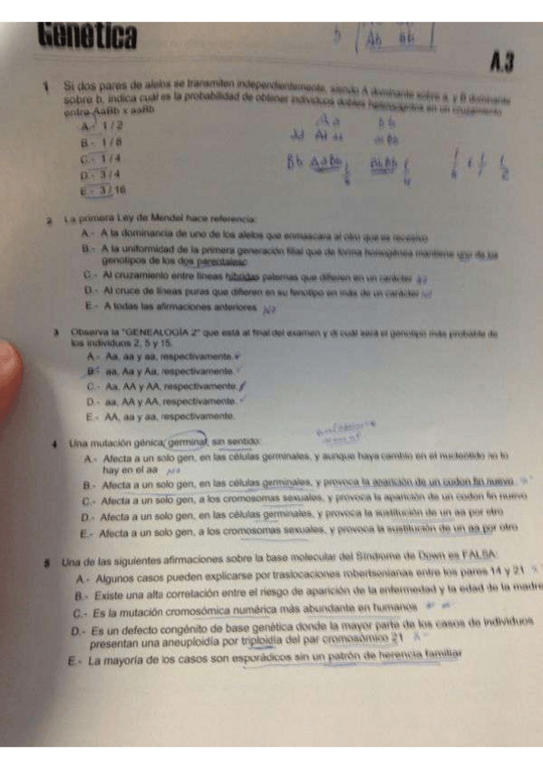 Miniatura del documento Examen-primer-parcial.pdf