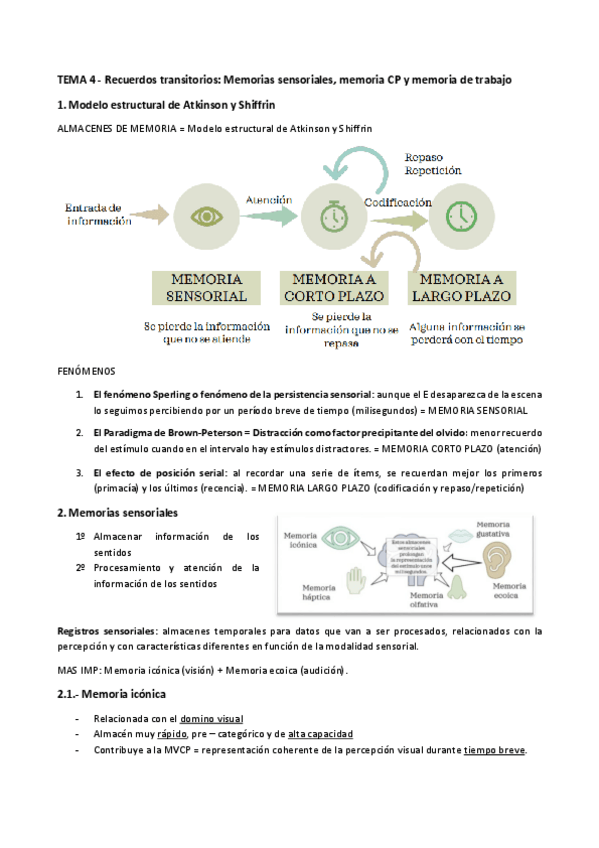 Miniatura del documento TEMA-4-Memoria-sensorial-CP-y-de-trabajo.pdf