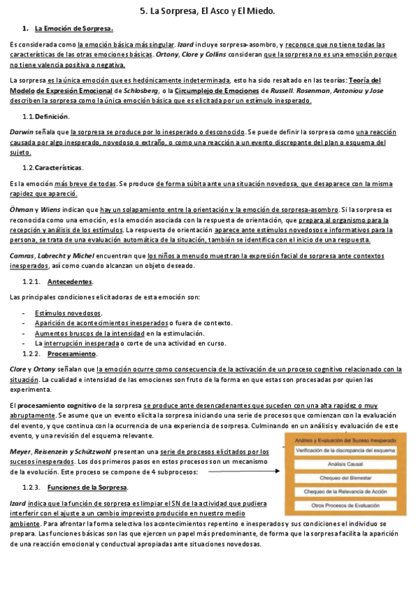 Miniatura del documento 5-Sorpresa-Asco-y-Miedo-Codigos-Principales-FACS.pdf