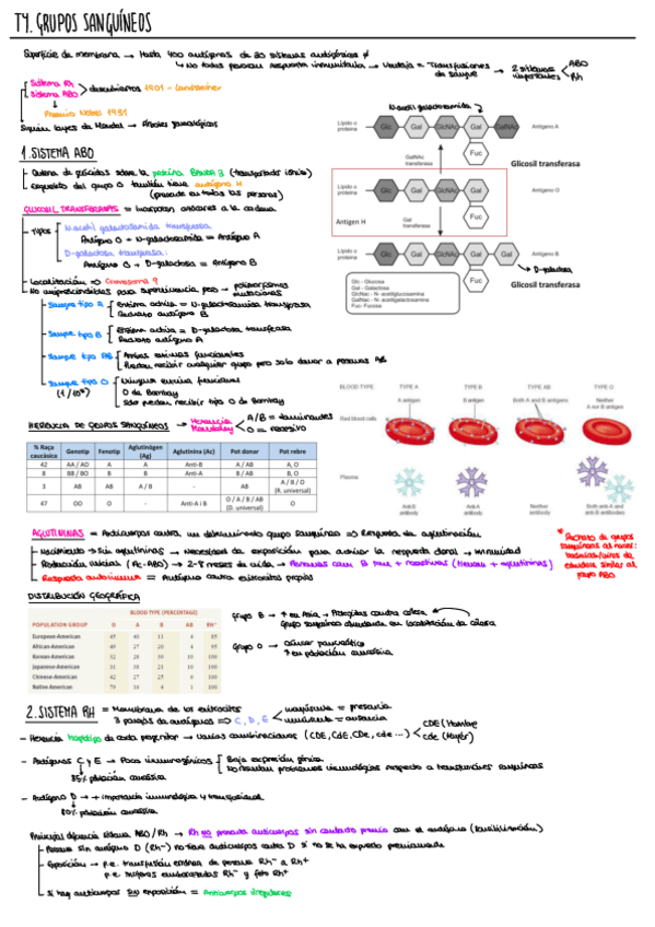 Miniatura del documento T4.pdf