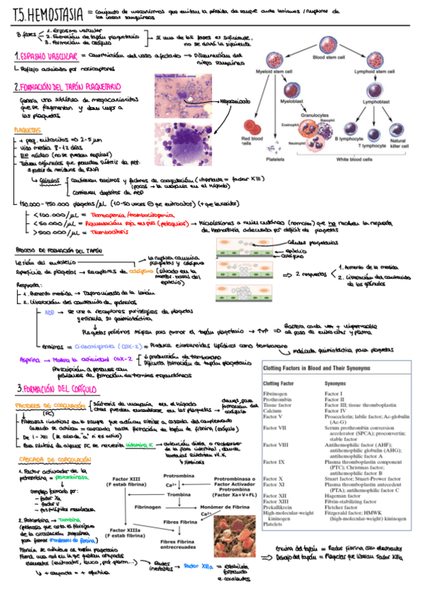 Miniatura del documento T5.pdf