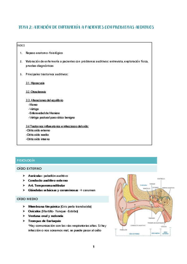 Miniatura del documento TEMA-2-AUDITIVO.pdf
