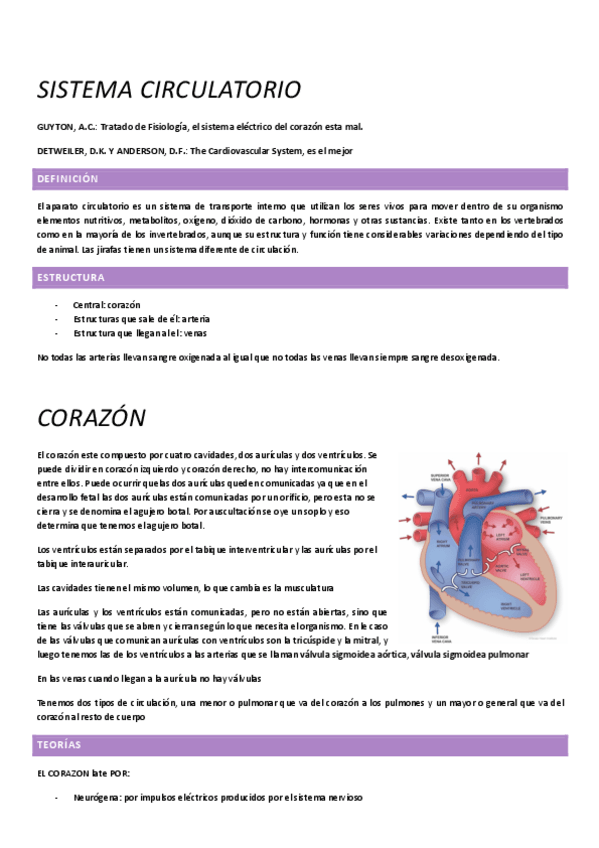 Miniatura del documento Sistema-circulatorio.pdf