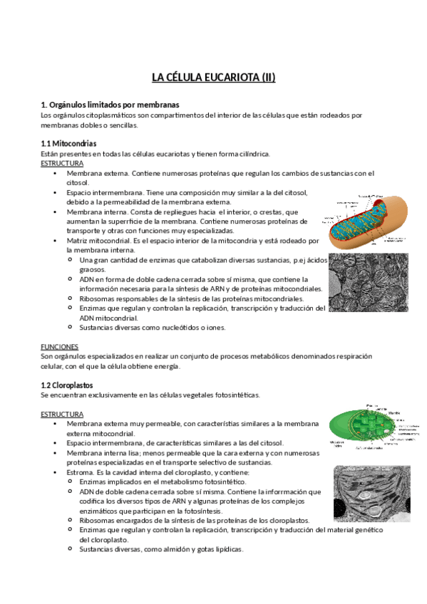Miniatura del documento Celula-eucariota-II.pdf