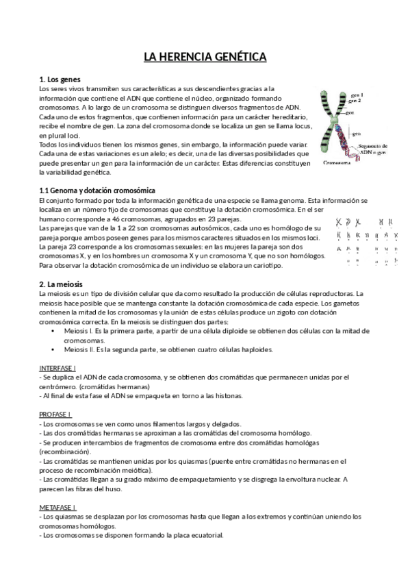 Miniatura del documento Herencia-genetica.pdf