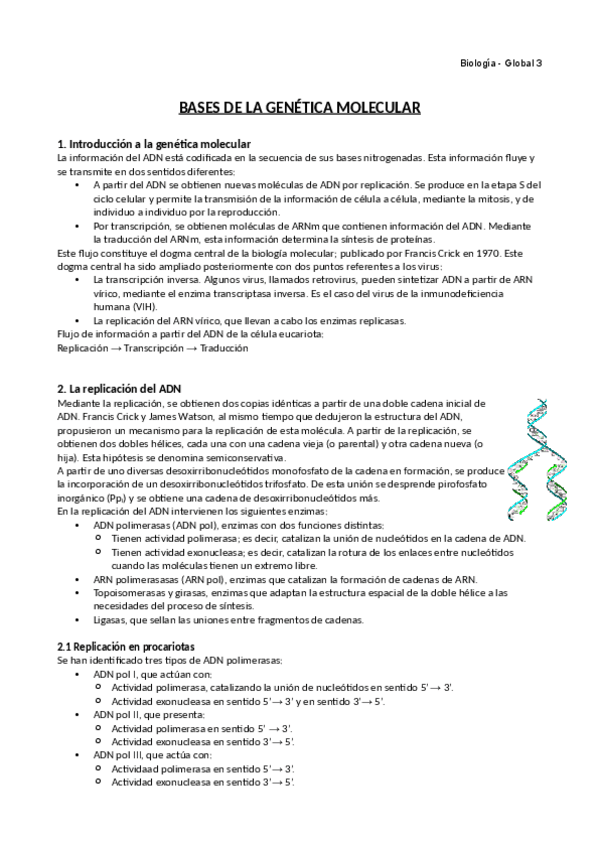 Miniatura del documento Bases-de-la-genetica-molecular.pdf