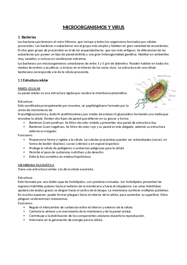 Miniatura del documento Microorganismos-y-virus.pdf
