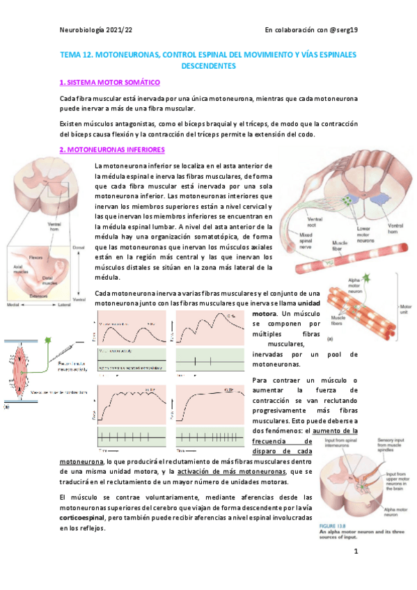 Miniatura del documento Tema-12.pdf
