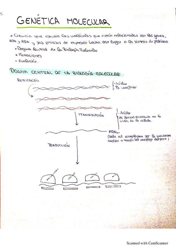 Miniatura del documento GENETICA-MOLECULAR.pdf