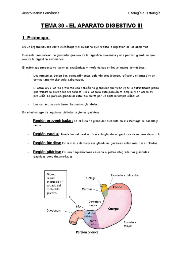 Miniatura del documento TEMA-30-EL-APARATO-DIGESTIVO-III.pdf
