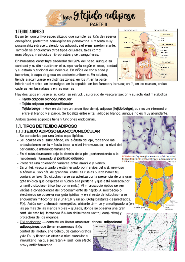 Miniatura del documento Tema 9 - Parte II.pdf