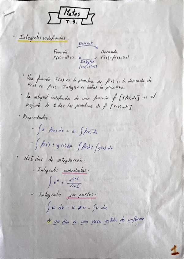 Miniatura del documento integrales