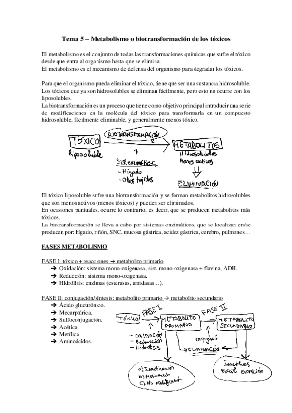 Miniatura del documento Tema-5-Metabolismo-o-biotransformacion-de-los-toxicos.pdf