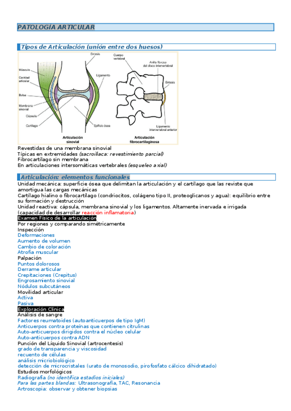 Miniatura del documento Fisiopatologia.docx