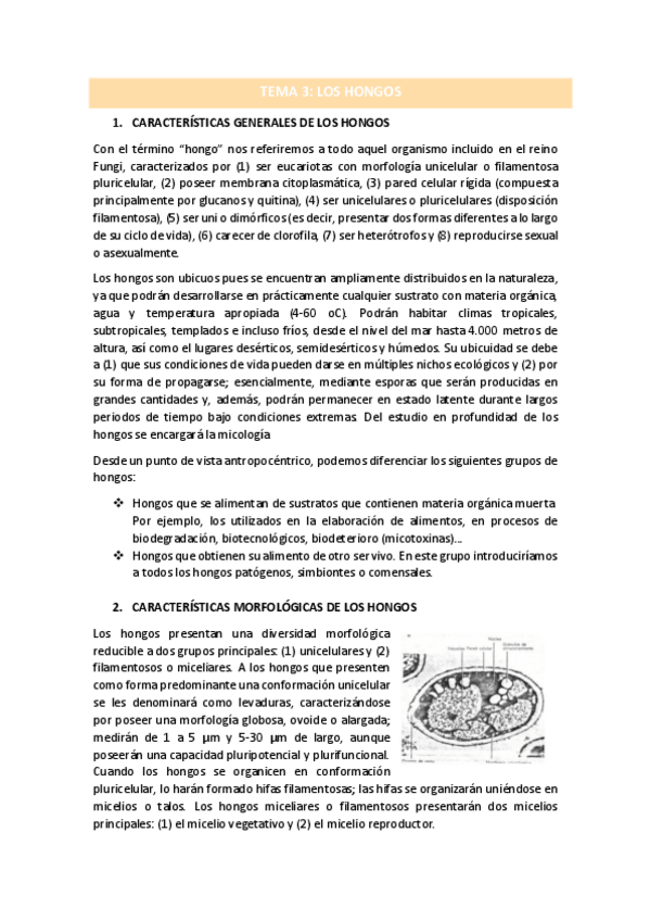 Miniatura del documento TEMA-3.pdf