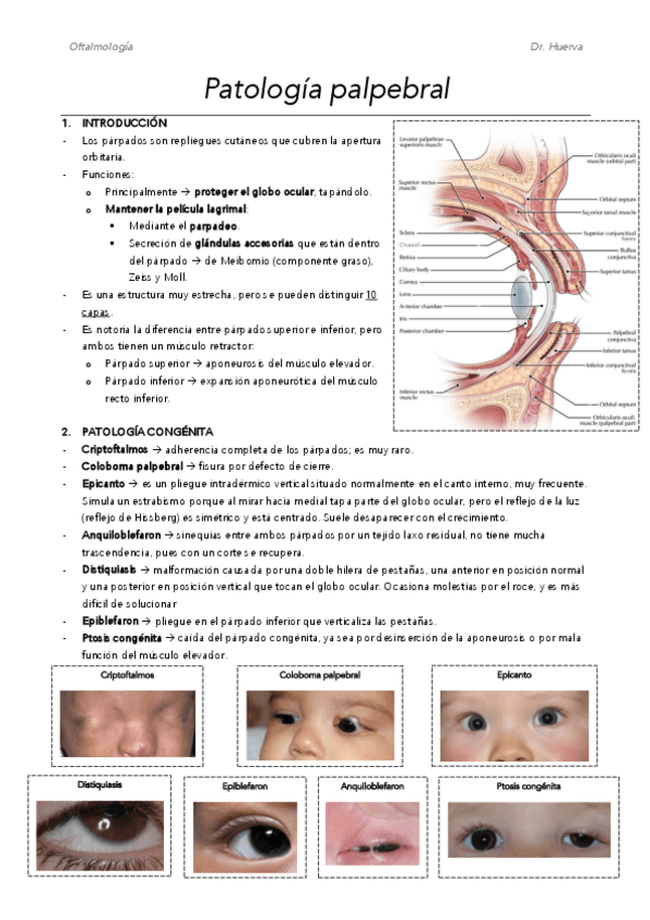 Miniatura del documento M7.pdf
