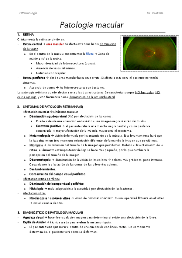 Miniatura del documento M6.pdf