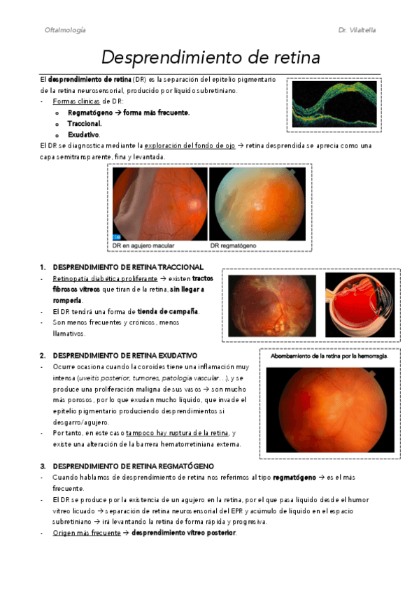 Miniatura del documento M11.pdf
