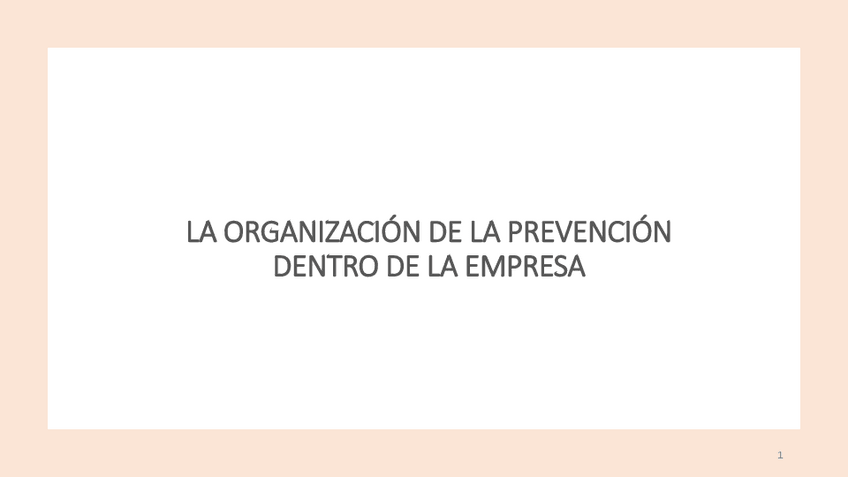 Miniatura del documento TEMA-6-LA-ORGANIZACION-DE-LA-PREVENCION.pdf