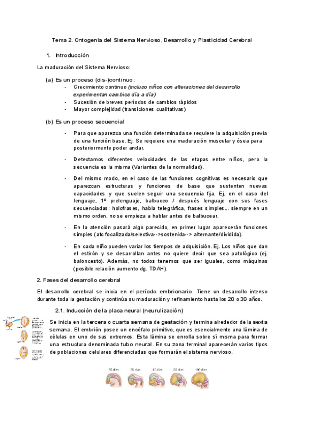 Miniatura del documento Tema-2-Neuropsicologia.pdf