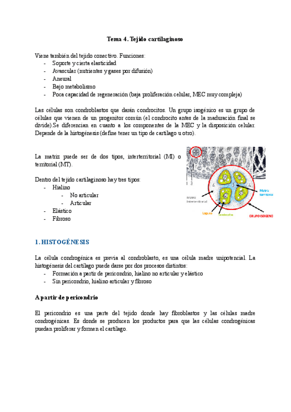 Miniatura del documento Tema-4.pdf