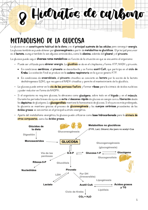 Miniatura del documento Tema-8.pdf