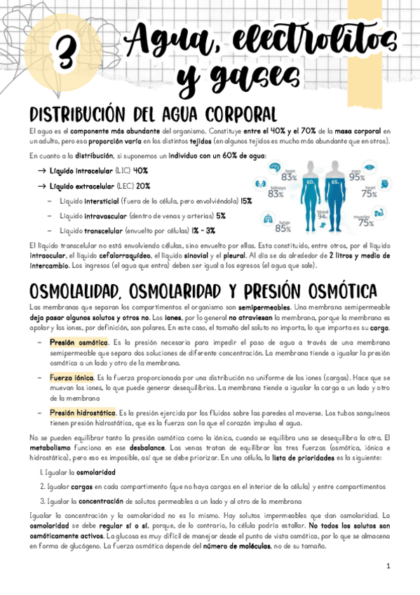 Miniatura del documento Tema-3.pdf