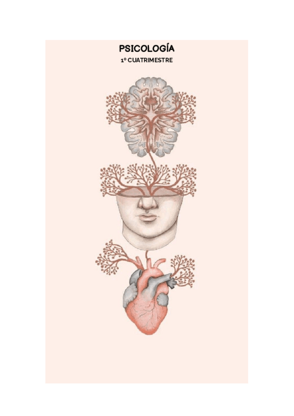 Miniatura del documento Portafolios.pdf