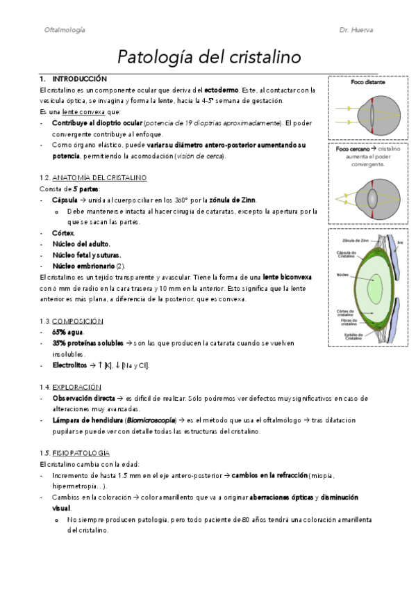 Miniatura del documento M15.pdf