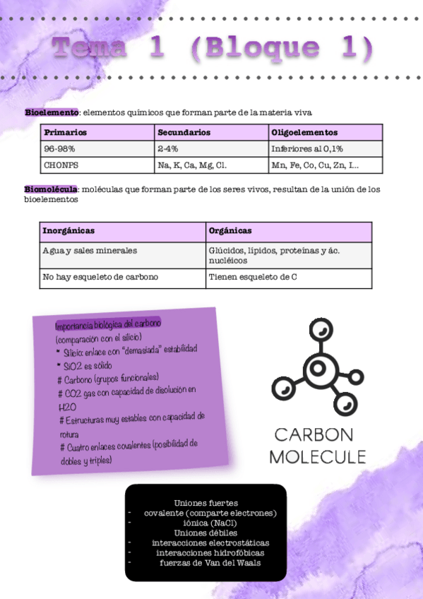 Miniatura del documento Biologia.pdf