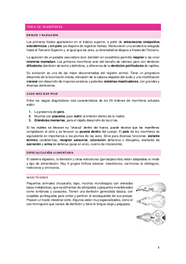 Miniatura del documento MAMIFEROS.pdf