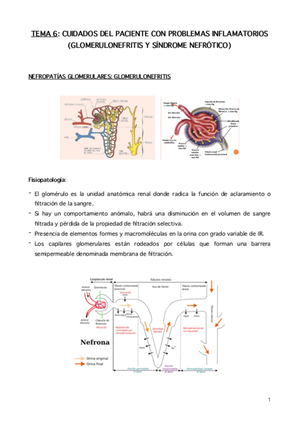 Miniatura del documento Tema-6.pdf