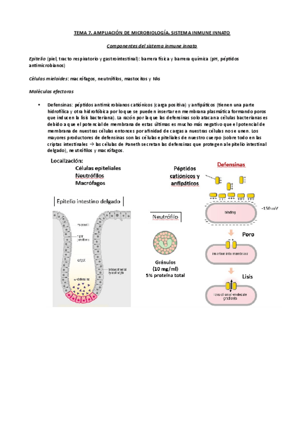 Miniatura del documento Tema-7-Ampli-micro.pdf