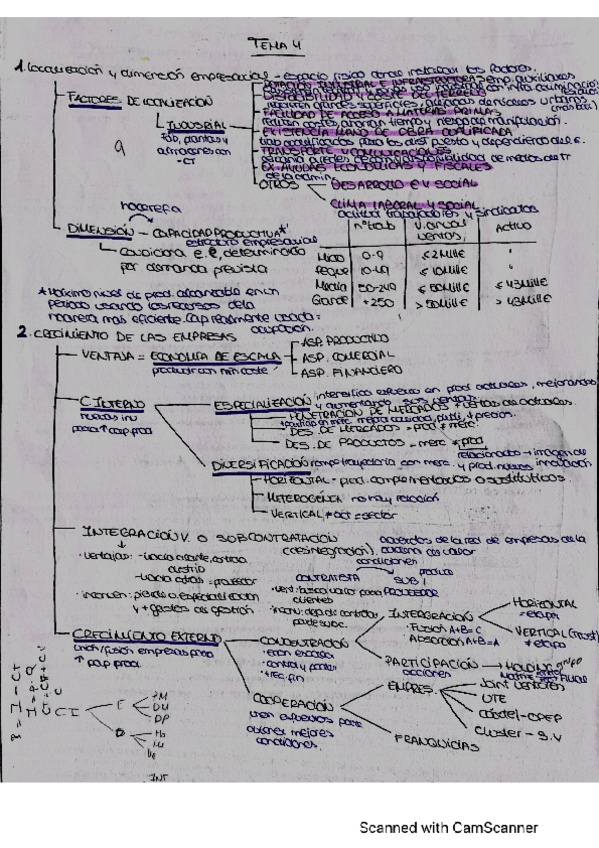 Miniatura del documento esquema-tema-4.pdf