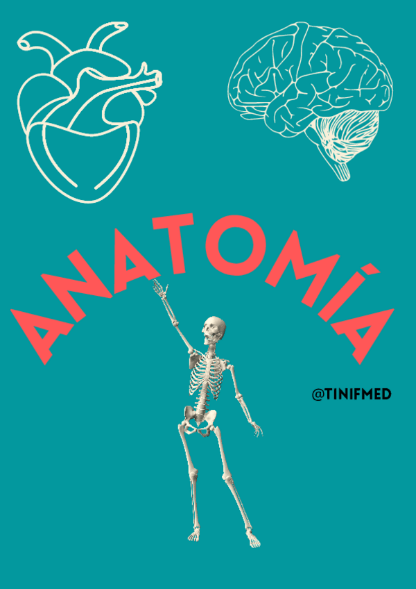 Miniatura del documento ANATOMIA.pdf