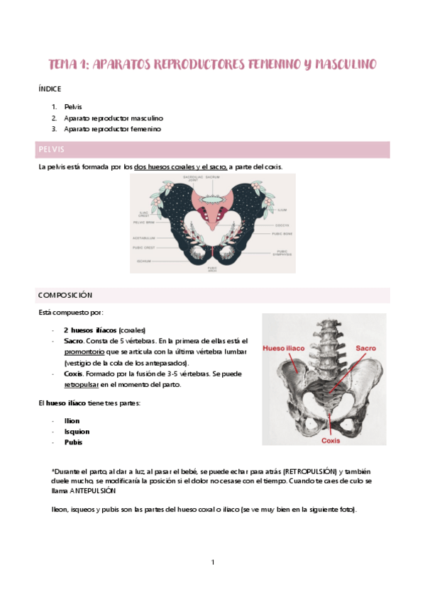 Miniatura del documento Tema-1.pdf