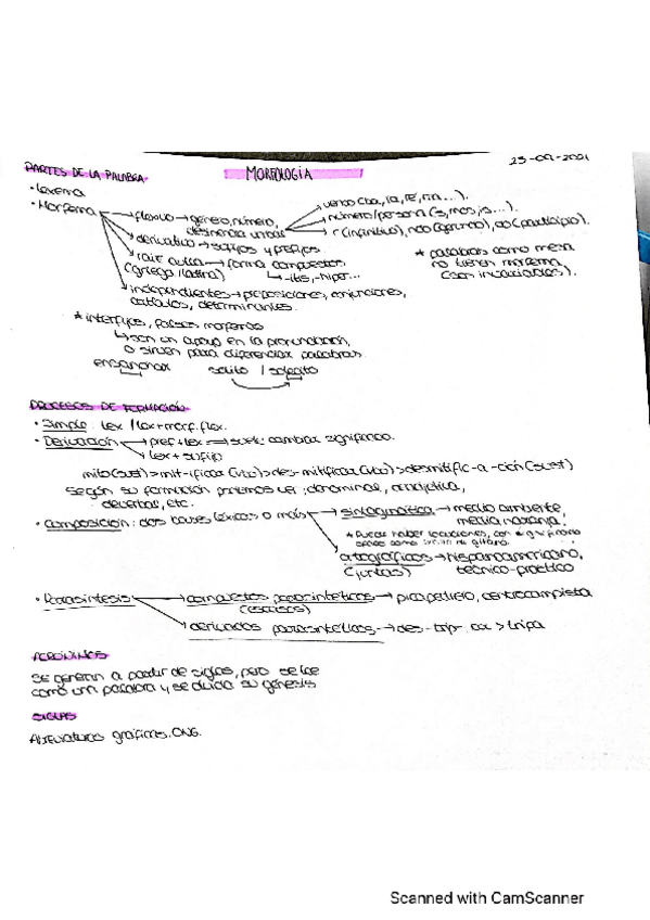 Miniatura del documento Morfologia.pdf
