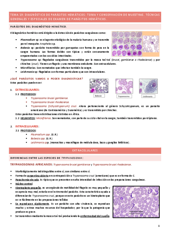 Miniatura del documento Tema-19.pdf