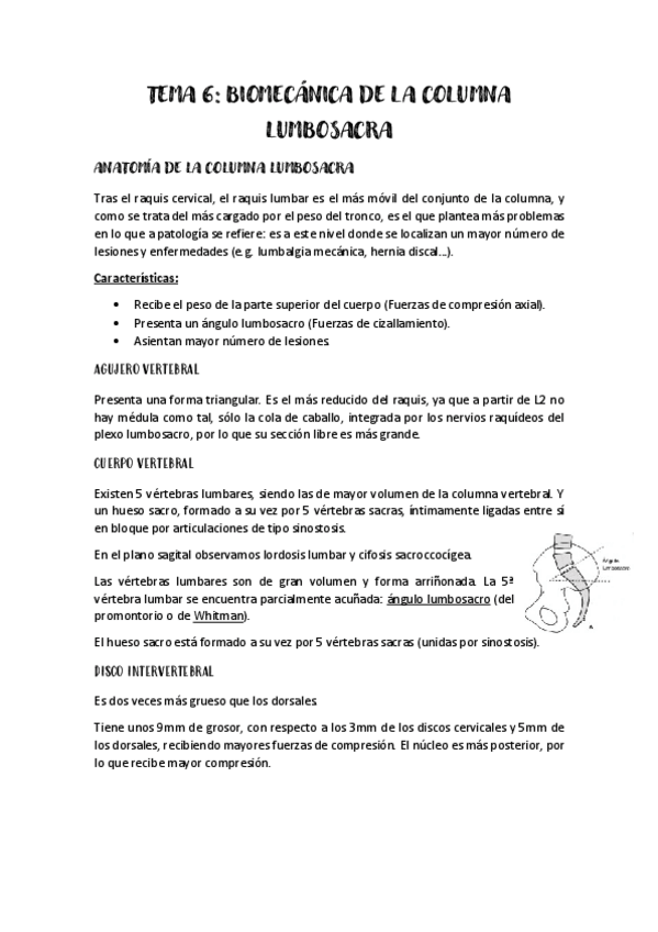 Miniatura del documento BIOMECANICA-TEMA-6.pdf