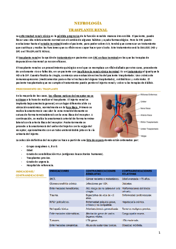 Miniatura del documento TRASPLANTE-RENAL.pdf