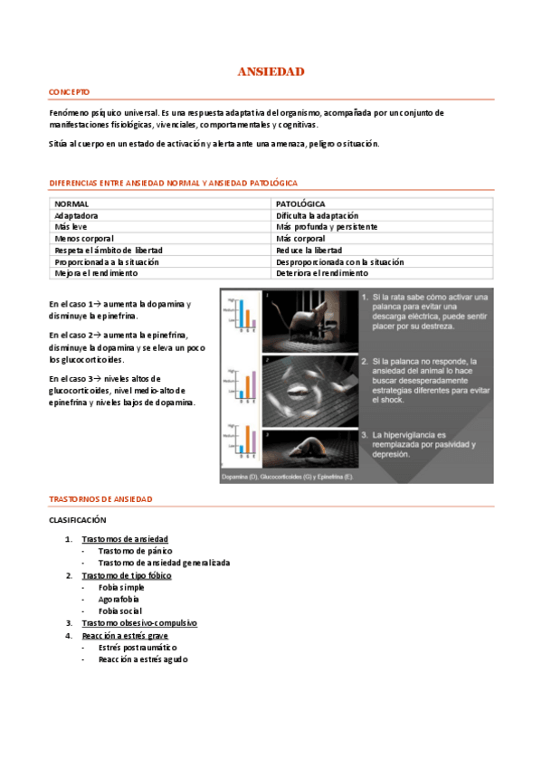 Miniatura del documento ANSIEDAD.pdf