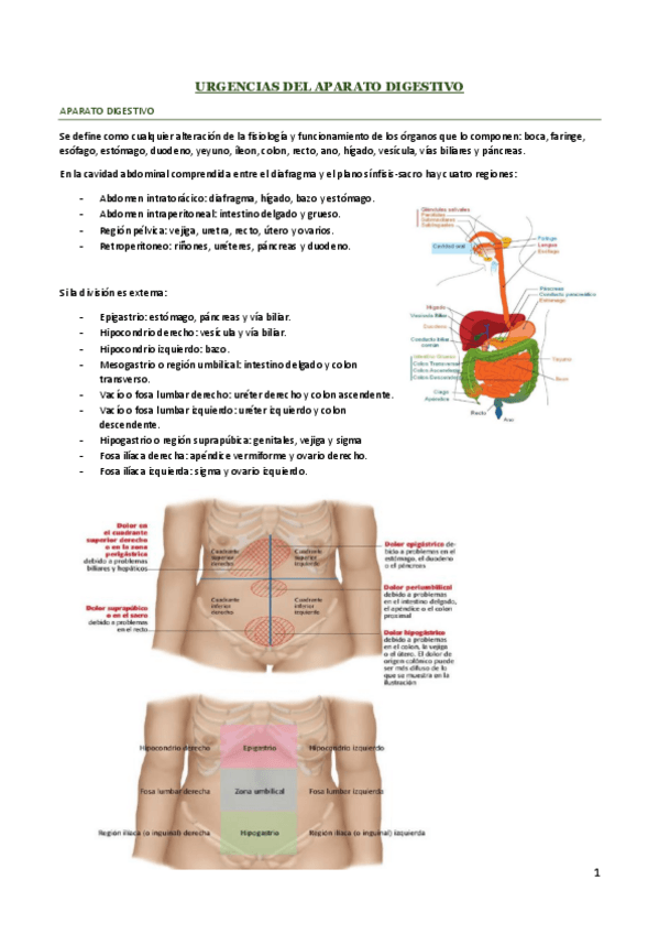 Miniatura del documento URGENCIAS-DEL-APARATO-DIGESTIVO.pdf